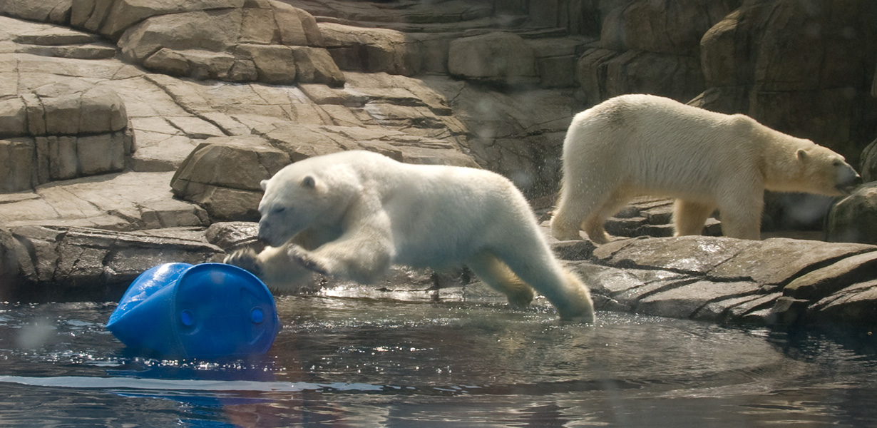 Pittsburgh Zoo – The Water’s Edge Exhibit