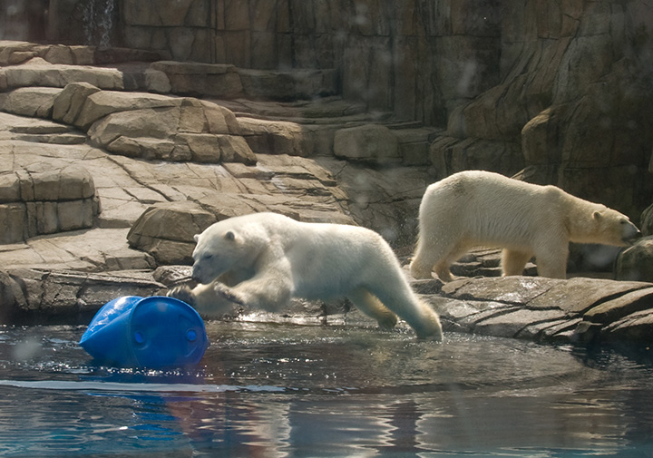 Pittsburgh Zoo – The Water’s Edge Exhibit